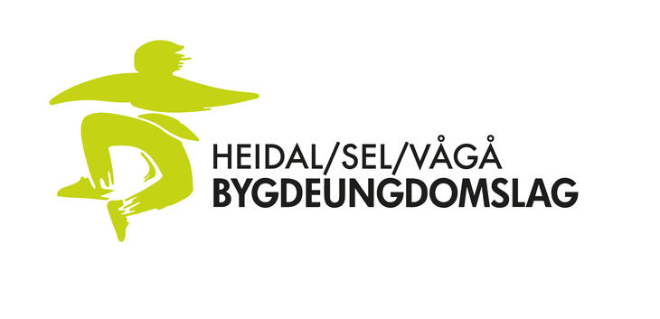 Logo HSVBU