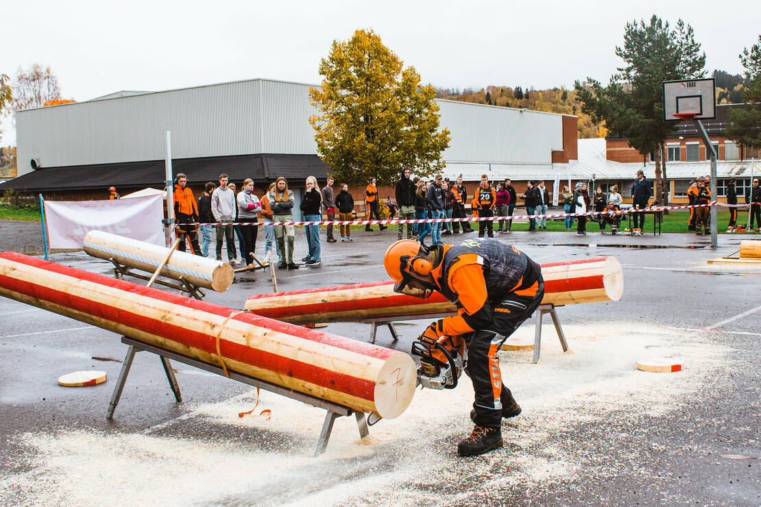 Bilde: Jente tevler i motorsag