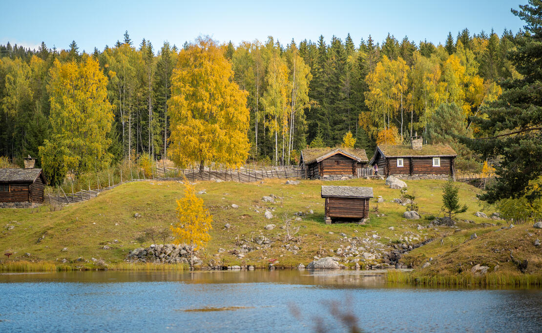 Best på levende bygder