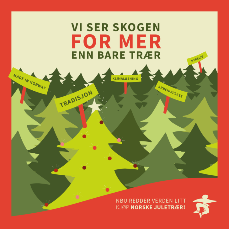 Vi har mange trær i Norge, men det er ikke alle juletrær som er produsert her. Sjekk om ditt juletre er "made in Norway". Illustrasjon: Nina Karlsen Bellika